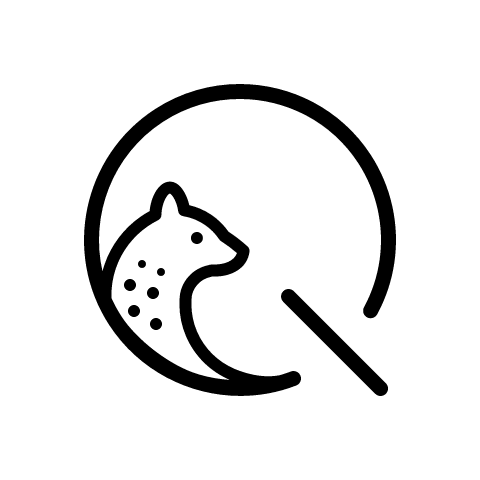Quoll
